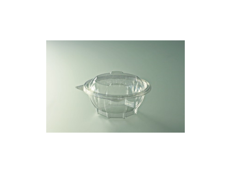 BOÎTE À SALADE 750G